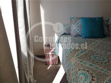 Imagen 11