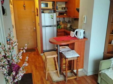 Arriendo Mensual / Departamento / Santiago