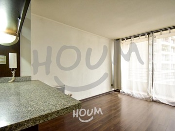 Arriendo Mensual / Departamento / Santiago