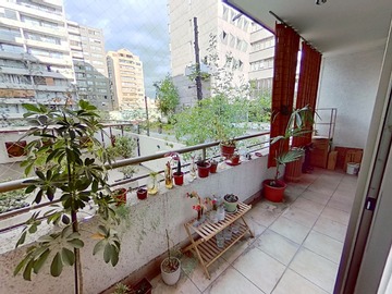 Imagen 7