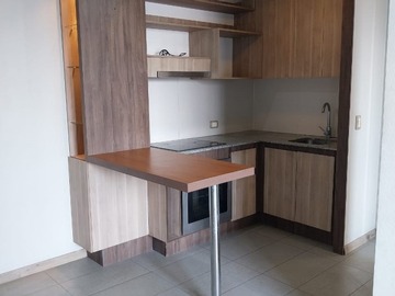 Arriendo Mensual / Departamento / Santiago