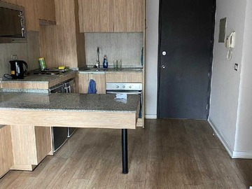 Arriendo Mensual / Departamento / Santiago