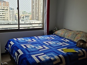 Imagen 23
