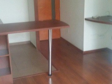 Arriendo Mensual / Departamento / Santiago