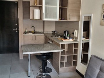 Arriendo Mensual / Departamento / Santiago