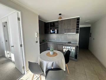 Arriendo Mensual / Departamento / Santiago