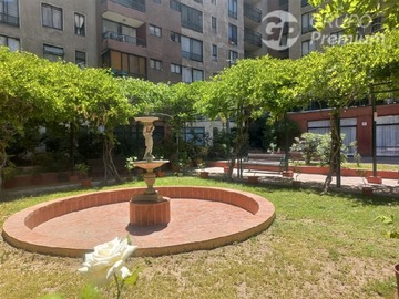 Imagen 19