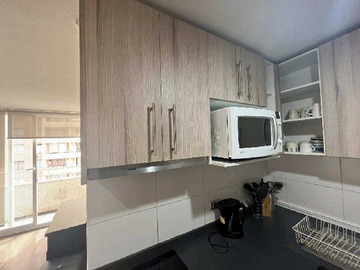 Arriendo Mensual / Departamento / Santiago