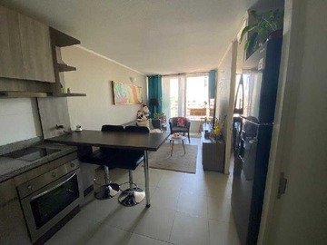 Arriendo Mensual / Departamento / Santiago