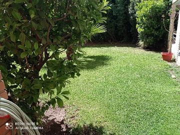Imagen 21