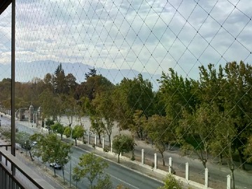 Imagen 12
