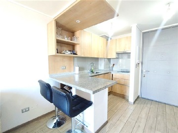 Arriendo Mensual / Departamento / Santiago