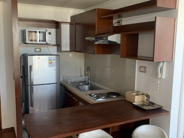 Arriendo Mensual / Departamento / Santiago