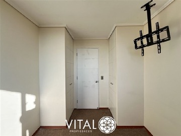 Imagen 11