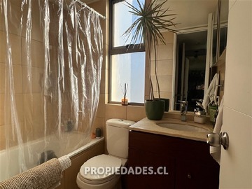 Imagen 5