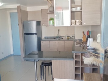 Arriendo Mensual / Departamento / Santiago