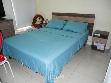 Imagen 10