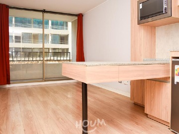 Arriendo Mensual / Departamento / Santiago