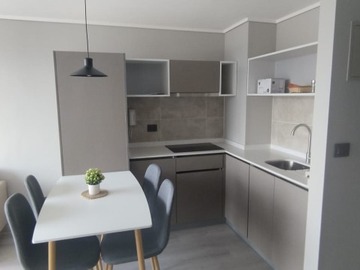 Arriendo Mensual / Departamento / Santiago