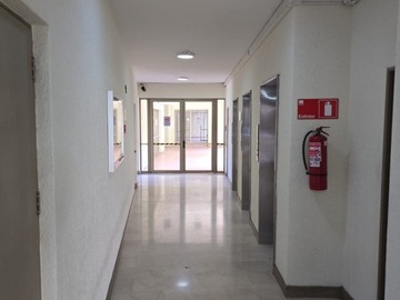 Imagen 11
