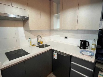 Arriendo Mensual / Departamento / Santiago