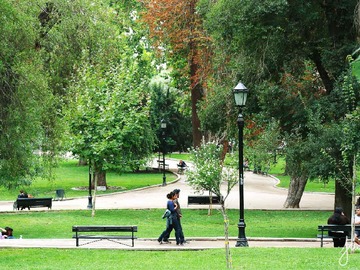 Imagen 19