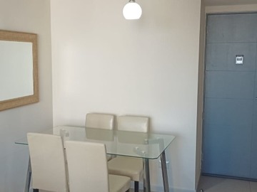 Arriendo Mensual / Departamento / Santiago