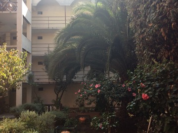 Imagen 29