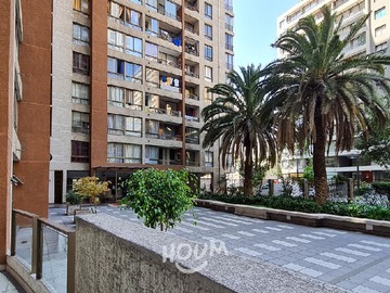 Imagen 19