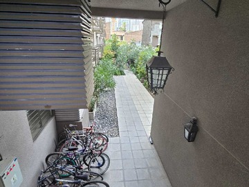 Imagen 20