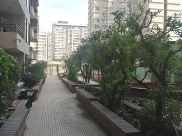 Imagen 20