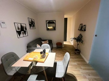 Arriendo Mensual / Departamento / Santiago