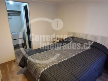 Imagen 8