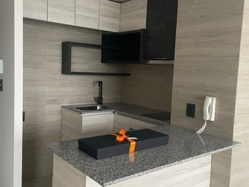 Arriendo Mensual / Departamento / Santiago