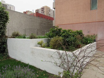 Imagen 11