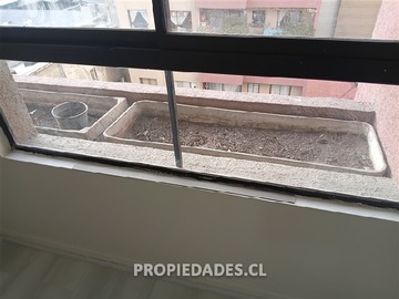 Imagen 12