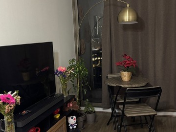Arriendo Mensual / Departamento / Santiago