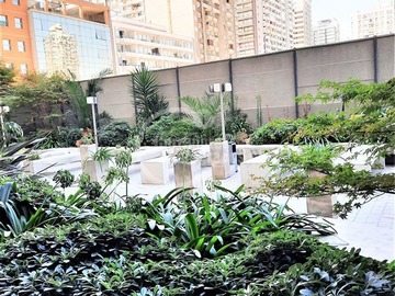 Imagen 8
