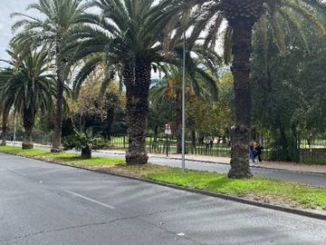Imagen 21