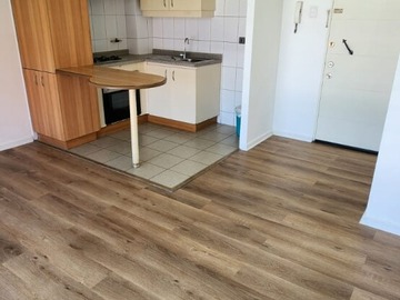 Arriendo Mensual / Departamento / Santiago
