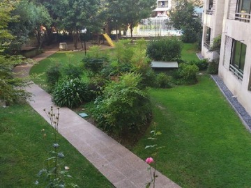 Imagen 25