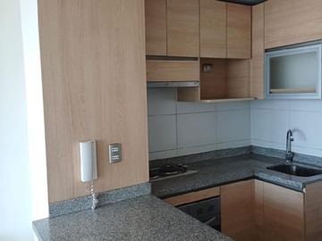 Arriendo Mensual / Departamento / Santiago