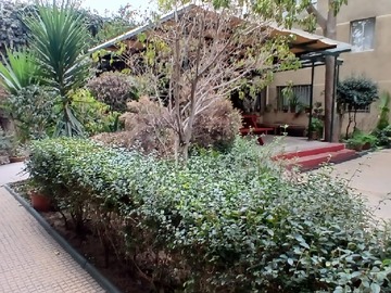 Imagen 14