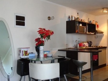 Arriendo Mensual / Departamento / Santiago