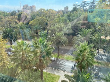 Imagen 20