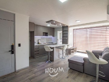 Arriendo Mensual / Departamento / Santiago