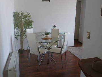 Arriendo Mensual / Departamento / Santiago