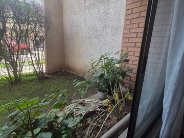 Imagen 21