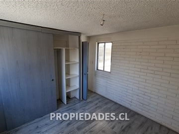 Imagen 11