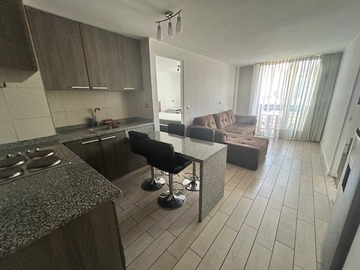 Arriendo Mensual / Departamento / Santiago